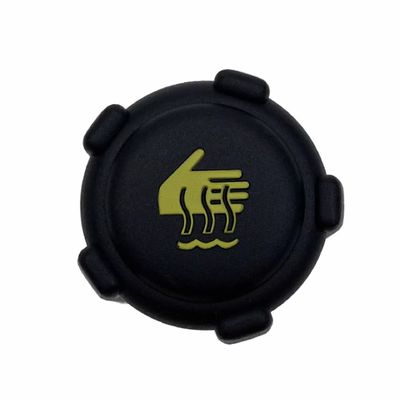 Ein guter Preis. 8200048024 Autoteile Heizkappe Pufferbehälter für Renault-Motor 1,9 dCi 100 FL0C Online